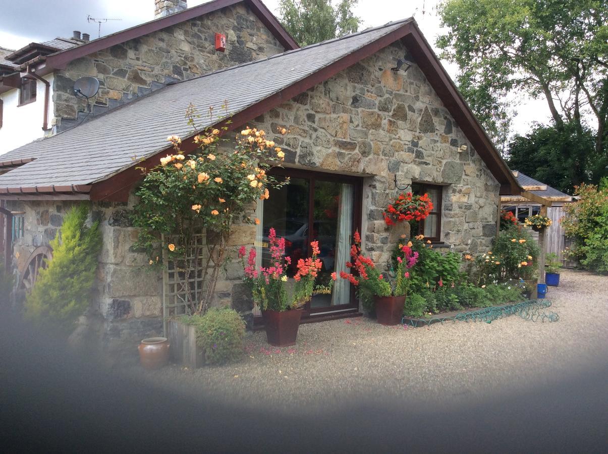 Bed and Breakfast Cysgod Y Garn à Bala Extérieur photo